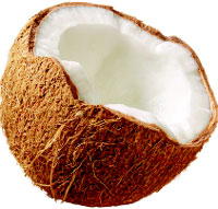 Coconut