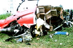 OAS ill-fated helicopter crash: Victims remains recovered