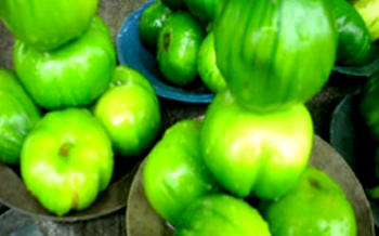 Garden egg useful for weight reduction says nutritionist