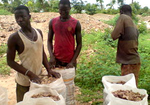 Niger State under siege by illegal miners