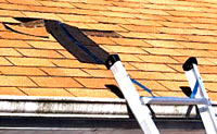 Firm introduces scientific approach to roof restoration