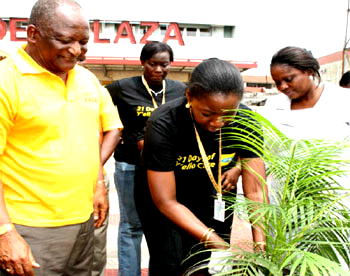 Tree Planting Campaign: Why we  partnered LASEPA  — Ogunlesi