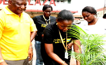 Plant a tree and save the environment – MTN