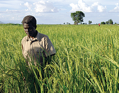 Rivers floats N4.5bn farm to attract youth into agriculture