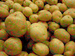 FG takes N3.8bn loan from AfDB for potato production