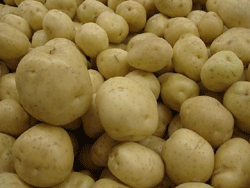FG takes N3.8bn loan from AfDB for potato production