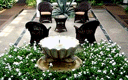 Courtyard brings an elegant flair to the home