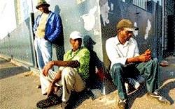 Govts lying about job  creation – 2