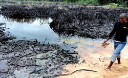 Living with oil spill in Ogoniland