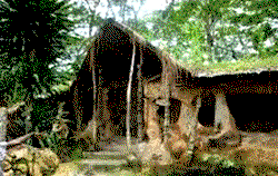 Osun eyes 20,000 tourists from the diaspora