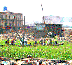 World Bank, AfDB, others support Nigeria with $638m for water, sanitation