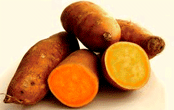 FG urges farmers to adopt orange-fleshed sweet potato