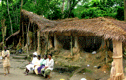 Osun grove: More than annual festival