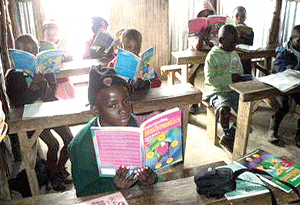 Primary school teachers, encourage reading habit