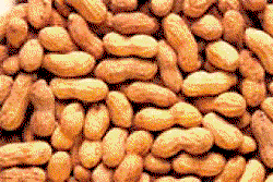 Consumption of groundnut prevents Hemophilia – Nutritionist