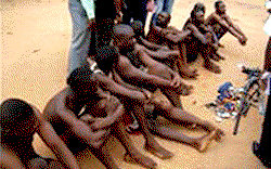 Murder: Benue Police swoop on cultists, nab law maker, others