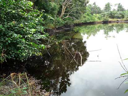 Kaduna community draws water from 1,829-metres-high rock