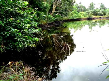 Kaduna community draws water from 1,829-metres-high rock