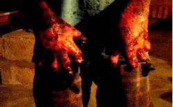 Alleged membership of witchcraft cult:95-yr-old beaten to death, children  dehumanised