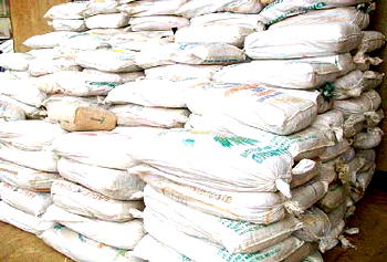 Kwara NDLEA arrests two Suspects with N250m worth Cannabis