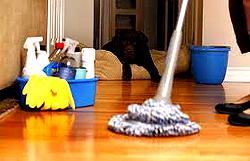 How to start a property cleaning business