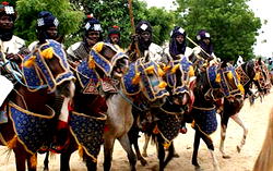 Jigawa: Beautiful destination for bird watch, festivals