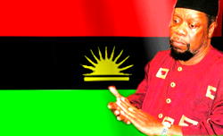 Ojukwu’s body to tour 4 countries before burial