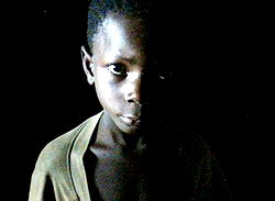 Toronto Film Festival to focus on WikiLeaks, Mandela & slavery