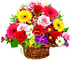Flower Power:  ‘Giving & receiving flower etiquette’