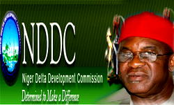 Anny, Essense, Lamboghini others partner with NDDC for peace campaign