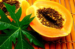 The wonderful health benefits of paw paw
