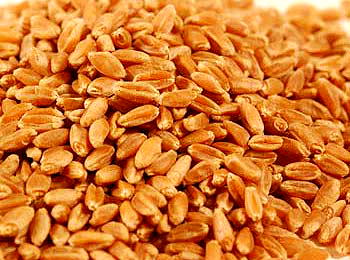 Bulk wheat, salt top Eastern, Delta ports import chart