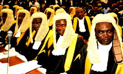 Appointment of SAN: Limitation of number-effect on merit