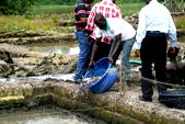 Bonga oil spill: Senate c’ttee okay with clean up