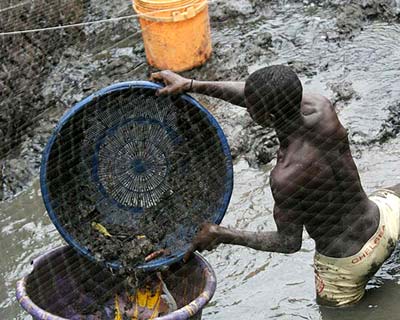 6.6m fishers distressed by COVID-19 pandemic, says FishNet Alliance