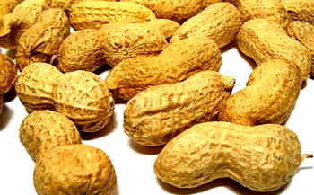 Eat peanuts, reduce gall bladder diseases