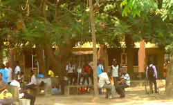 ASUU Strike: Our losses, frustrations, by students, parents, businessmen