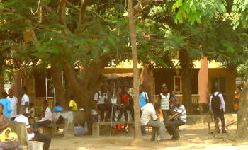 ASUU Strike: Our losses, frustrations, by students, parents, businessmen