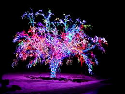 Bring the yuletide spirit to your home with Xmas lights