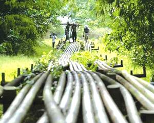 Shell pipelines spill 4,309 barrels of crude in H2’20