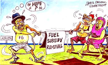 APC, PDP Reps disagree over fuel subsidy removal