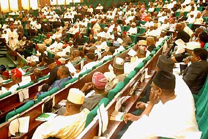 $20bn Grip project: Match your plans with actions, Mayuku charges FG