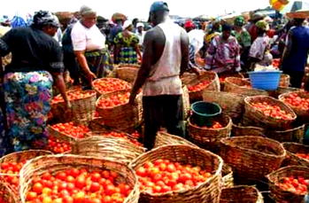 When tomato becomes luxury