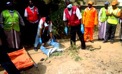 11 persons killed as multiple explosions hit Maiduguri