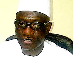 Election postponement: INEC’s reasons not convincing, says Wadada