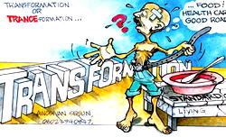 Lessons in arithmetic of Nigeria’s revenue allocation formula