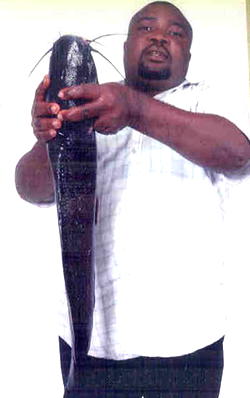 Michael Okpara University to generate N800m annually from catfish production – VC