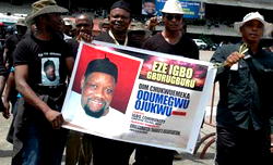 Ojukwu, a dogged fighter of inestimable value