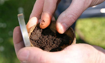 Substituting with smokeless tobacco will save lives, experts