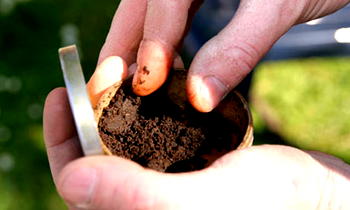 GATS report & tobacco use in Nigeria
